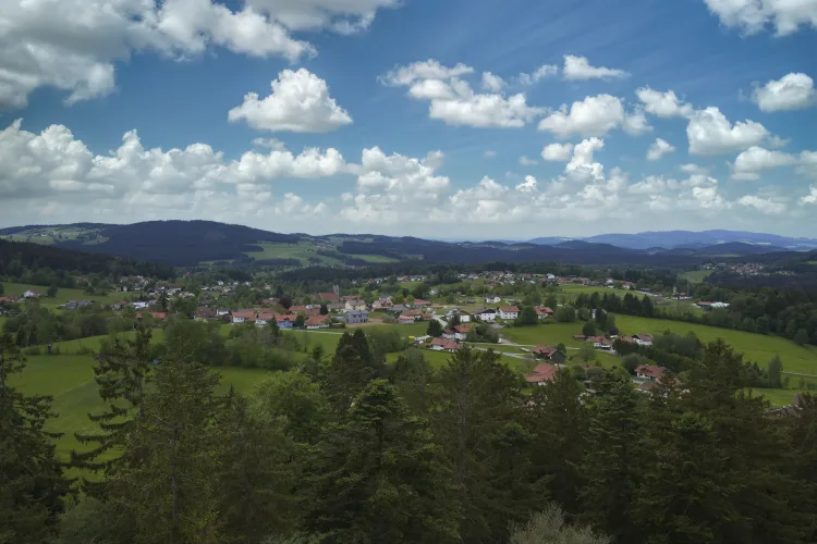 Baumwipfelpfad Bavarian Forest-2