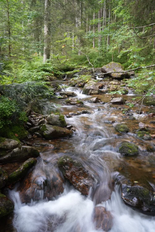 Bayerischer Wald Wandern