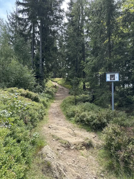 Silberberg Wandern