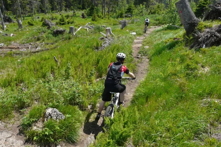 bett-bike-landhaus-meine-auszeit-gefuehrte-mountainbiketouren