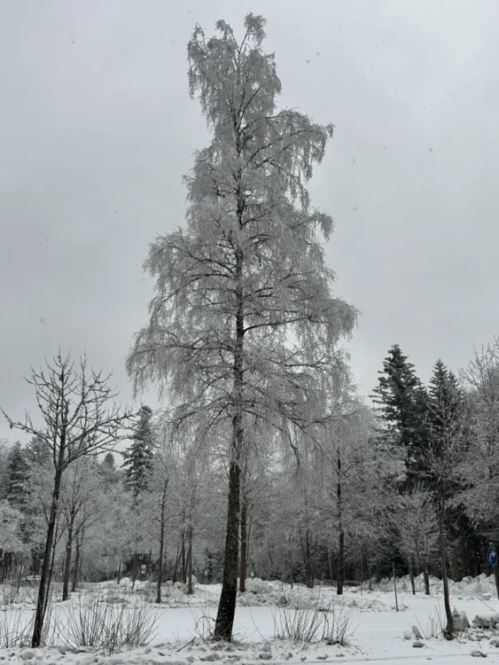 Winter rund um Bodenmais