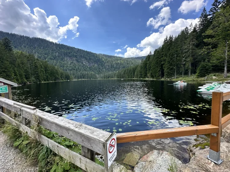 Großer Arbersee